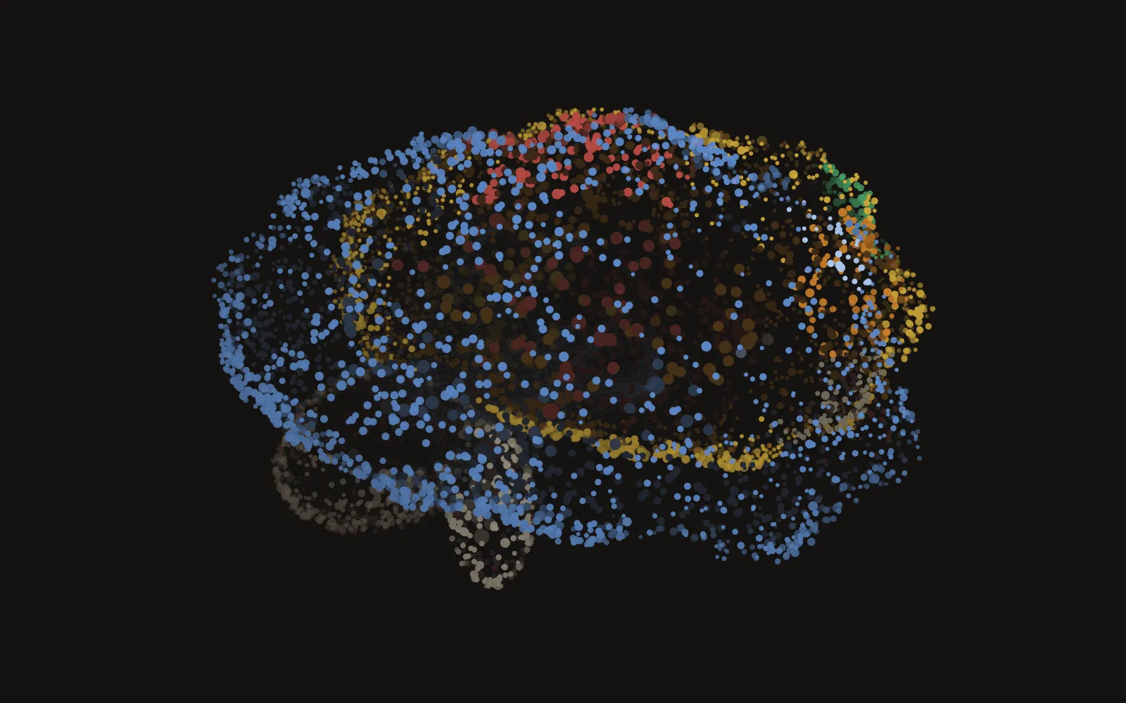 The vault drawn as a brain: several thousand dots on a brain-shaped surface, joined by faint fibres and coloured by region — a navy left hemisphere of work notes, a gold right hemisphere of research domains, red people-notes along the midline, amber knowledge at the front, a grey archive tucked under the back as the cerebellum.